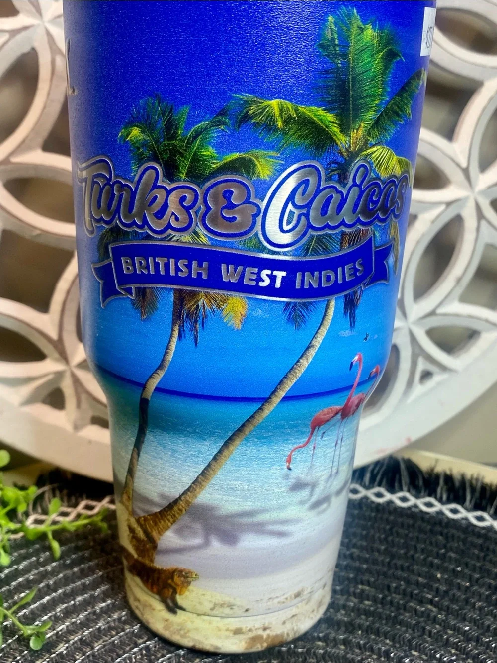 NWT Turks & Caicos‎ Beach Scene Tall Tumbler With Metal Straw